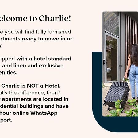 Charlie Sabia Moema Lejlighed São Paulo Eksteriør billede